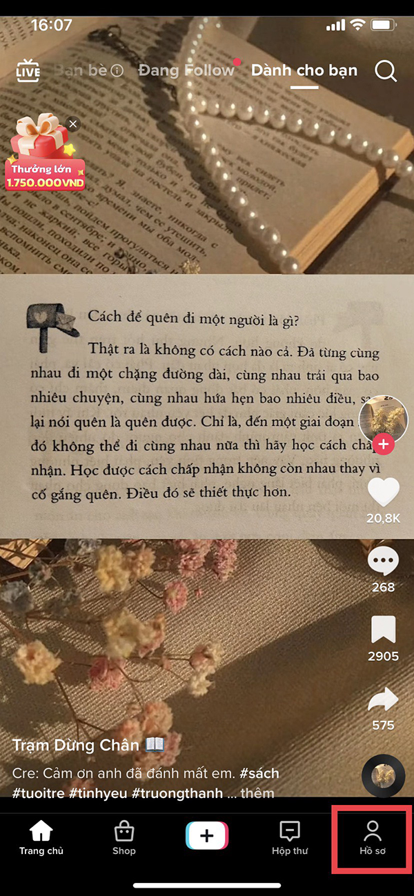 Hồ sơ