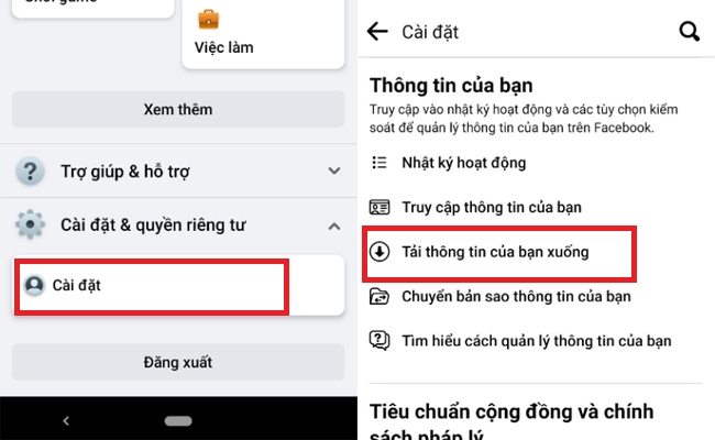 Bước 2: Tìm mục "Tải thông tin của bạn xuống"