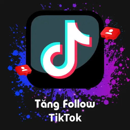 Những Lưu Ý Khi Lựa Chọn Web Tăng Follow TikTok