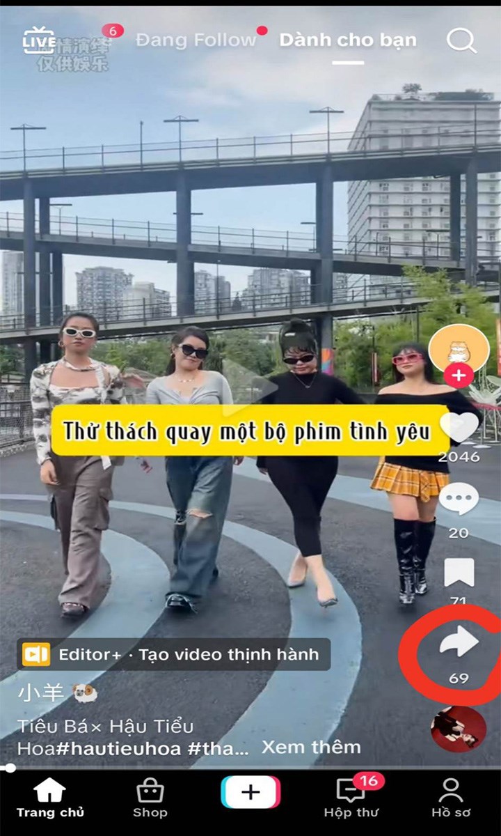 Mở ứng dụng TikTok vào video bạn muốn share