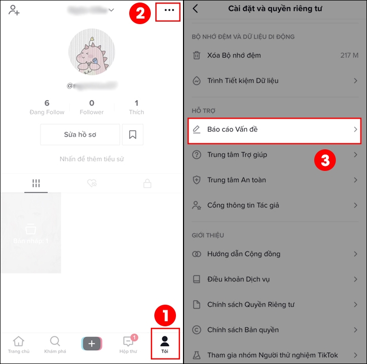 Báo cáo vấn đề